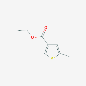 molecular formula C8H10O2S B170203 Ethyl 5-methylthiophene-3-carboxylate CAS No. 19163-50-9