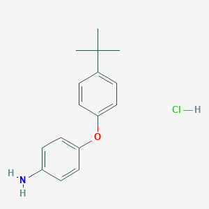 molecular formula C16H20ClNO B171770 4-[4-(Tert-butyl)phenoxy]aniline hydrochloride CAS No. 10254-86-1