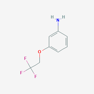molecular formula C8H8F3NO B172331 3-(2,2,2-Trifluoroethoxy)aniline CAS No. 123207-61-4