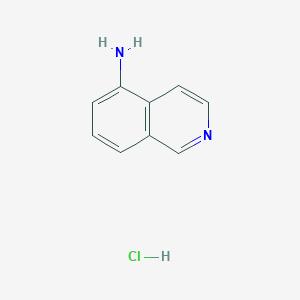 molecular formula C9H9ClN2 B172502 Isoquinolin-5-amine hydrochloride CAS No. 152814-23-8