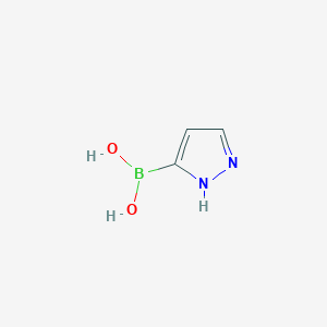 molecular formula C3H5BN2O2 B172516 Pyrazole-3-boronic acid CAS No. 1239363-47-3