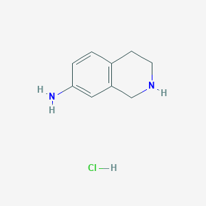 1,2,3,4-Tetrahydroisoquinolin-7-amine hydrochloride