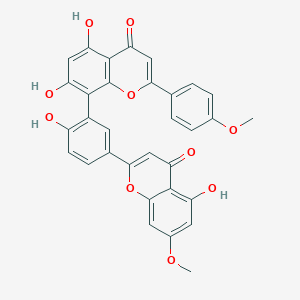 molecular formula C32H22O10 B017318 Podocarpusflavone B CAS No. 23624-21-7