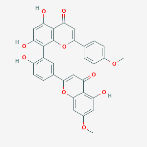 molecular formula C32H22O10 B017318 Putraflavone CAS No. 23624-21-7