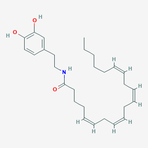 molecular formula C28H41NO3 B173369 N-Arachidonoyl dopamine CAS No. 199875-69-9