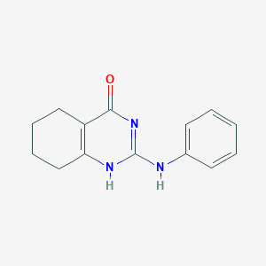 molecular formula C14H15N3O B174043 2-Anilino-5,6,7,8-tetrahydroquinazolin-4(1H)-one CAS No. 97041-36-6