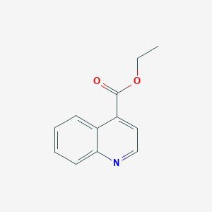 molecular formula C12H11NO2 B174774 Ethyl quinoline-4-carboxylate CAS No. 10447-29-7