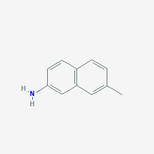 molecular formula C11H11N B175780 7-甲基萘-2-胺 CAS No. 116530-25-7