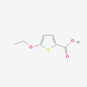 molecular formula C7H8O3S B176403 5-Ethoxy-2-thiophenecarboxylic Acid CAS No. 135080-30-7