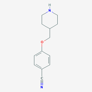 4-(Piperidin-4-ylmethoxy)-benzonitrile