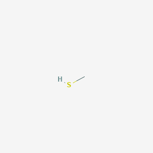 molecular formula CH3SH<br>CH4S B179389 甲硫醇 CAS No. 74-93-1