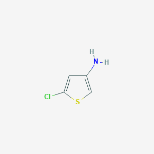 molecular formula C4H4ClNS B179390 5-氯噻吩-3-胺 CAS No. 123403-75-8