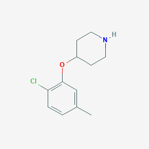 molecular formula C12H16ClNO B179410 4-(2-Chloro-5-methylphenoxy)piperidine CAS No. 254883-43-7
