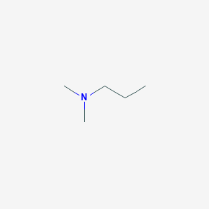 molecular formula C5H13N B179496 N,N-Dimethylpropylamine CAS No. 926-63-6