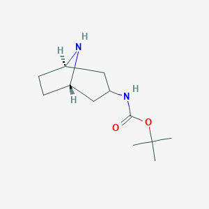 molecular formula C12H22N2O2 B179534 exo-3-(Boc-amino)-8-azabicyclo[3.2.1]octane CAS No. 132234-69-6