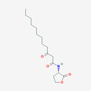 N-3-Oxo-Dodecanoyl-L-Homoserine Lactone