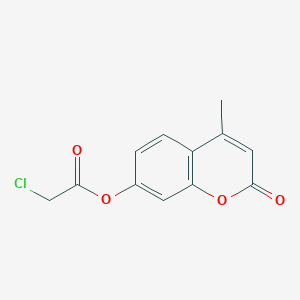 molecular formula C12H9ClO4 B180087 4-methyl-2-oxo-2H-chromen-7-yl chloroacetate CAS No. 105738-24-7