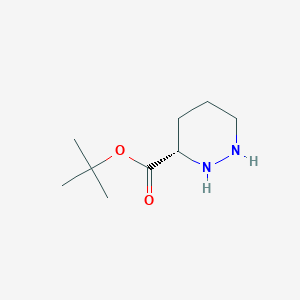 molecular formula C9H18N2O2 B181027 tert-butyl (3S)-hexahydropyridazine-3-carboxylate CAS No. 104069-74-1