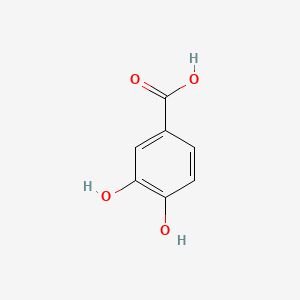 molecular formula C7H6O4 B181095 3,4-二羟基苯甲酸 CAS No. 99-50-3