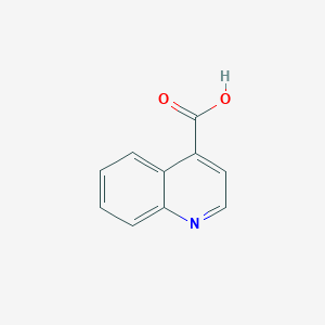 molecular formula C10H7NO2 B181761 Quinoline-4-carboxylic acid CAS No. 486-74-8