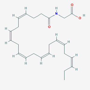 N-Docosa-4,7,10,13,16,19-hexaenoylglycine