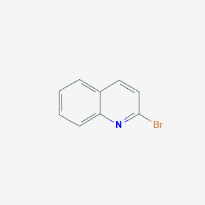 molecular formula C9H6BrN B184079 2-溴喹啉 CAS No. 2005-43-8