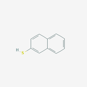 molecular formula C10H8S B184263 2-Naphthalenethiol CAS No. 91-60-1