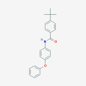 4-tert-butyl-N-(4-phenoxyphenyl)benzamide