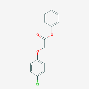 molecular formula C14H11ClO3 B185456 Phenyl (4-chlorophenoxy)acetate CAS No. 62095-51-6