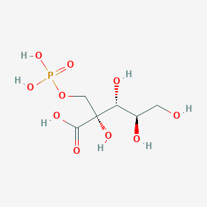 molecular formula C6H13O10P B018553 2-Carboxy-D-arabinitol 1-phosphate CAS No. 106777-19-9