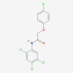 molecular formula C14H9Cl4NO2 B185536 2-(4-chlorophenoxy)-N-(2,4,5-trichlorophenyl)acetamide CAS No. 327071-46-5