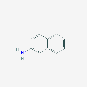 molecular formula C10H9N B018577 2-Naphthylamine CAS No. 91-59-8