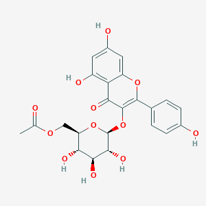 molecular formula C23H22O12 B185809 6''-O-Acetylastragalin CAS No. 118169-27-0