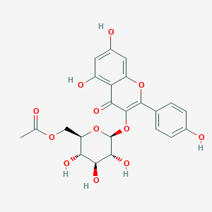 molecular formula C23H22O12 B185809 [(2R,3S,4S,5R,6S)-6-[5,7-Dihydroxy-2-(4-hydroxyphenyl)-4-oxochromen-3-yl]oxy-3,4,5-trihydroxyoxan-2-yl]methyl acetate CAS No. 118169-27-0