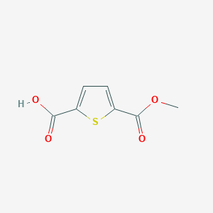 molecular formula C7H6O4S B187890 5-(Methoxycarbonyl)thiophene-2-carboxylic acid CAS No. 50340-79-9