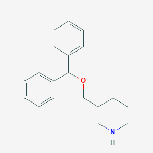 molecular formula C19H23NO B188034 3-[(Diphenylmethoxy)methyl]piperidine CAS No. 136647-20-6