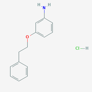 molecular formula C14H16ClNO B188692 3-(Phenethyloxy)aniline hydrochloride CAS No. 17399-24-5