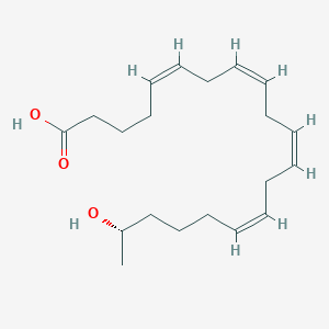 molecular formula C20H32O3 B188936 19(S)-Hete CAS No. 115461-40-0