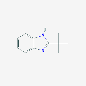molecular formula C11H14N2 B189439 2-tert-butyl-1H-benzo[d]imidazole CAS No. 24425-13-6