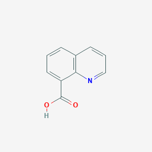 8-Quinolinecarboxylic acid