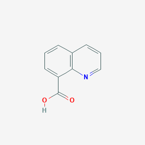 molecular formula C10H7NO2 B189445 8-Quinolinecarboxylic acid CAS No. 86-59-9