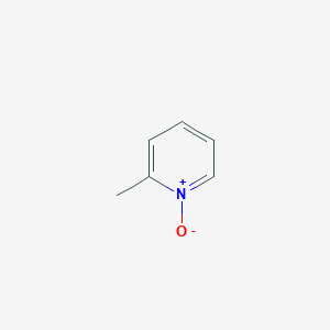 molecular formula C6H7NO B189460 2-Methylpyridine 1-oxide CAS No. 931-19-1
