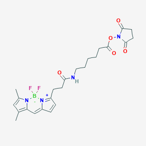 molecular formula C24H29BF2N4O5 B018997 3-波地匹-丙酰氨基己酸，N-羟基琥珀酰亚胺酯 CAS No. 217190-09-5