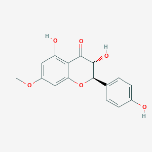 molecular formula C16H14O6 B190615 Aromadendrin 7-methyl ether CAS No. 37971-69-0