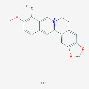 molecular formula C19H16NO4·Cl B190655 Berberrubine CAS No. 15401-69-1