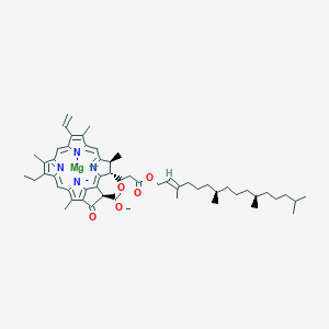 molecular formula C55H72MgN4O5 B190777 Chlorophyll CAS No. 479-61-8