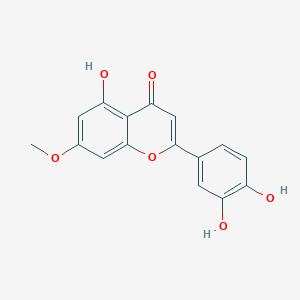 molecular formula C16H12O6 B191515 Luteolin 7-methyl ether CAS No. 20243-59-8