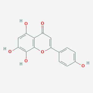 molecular formula C15H10O6 B191613 Isoscutellarein CAS No. 41440-05-5
