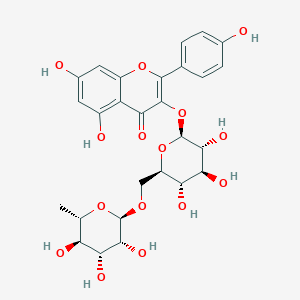 molecular formula C27H30O15 B191644 Nicotiflorin (Standard) CAS No. 17650-84-9