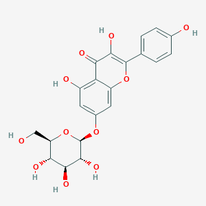molecular formula C21H20O11 B191667 kaempferol 7-O-glucoside CAS No. 16290-07-6